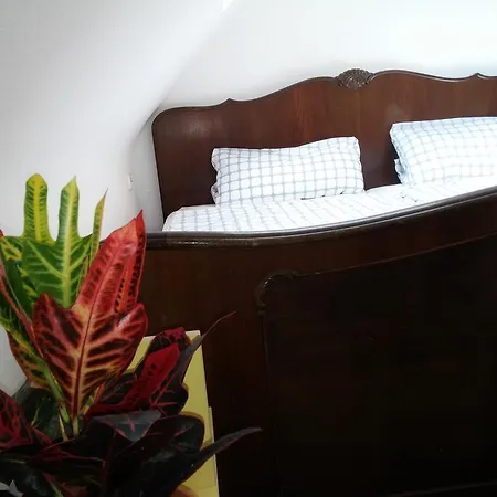 Apartment Forststrasse